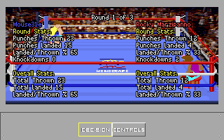 4-D Sports Boxing