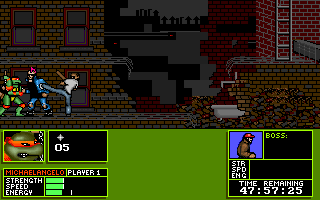 Teenage Mutant Ninja Turtles - Manhattan Miss