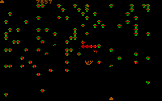 Centipede