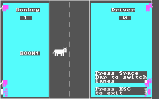 Donkey