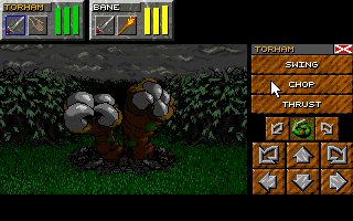 Dungeon Master II - The Legend of Skullkeep