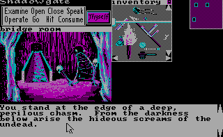Shadowgate