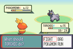 Pokemon ruby version