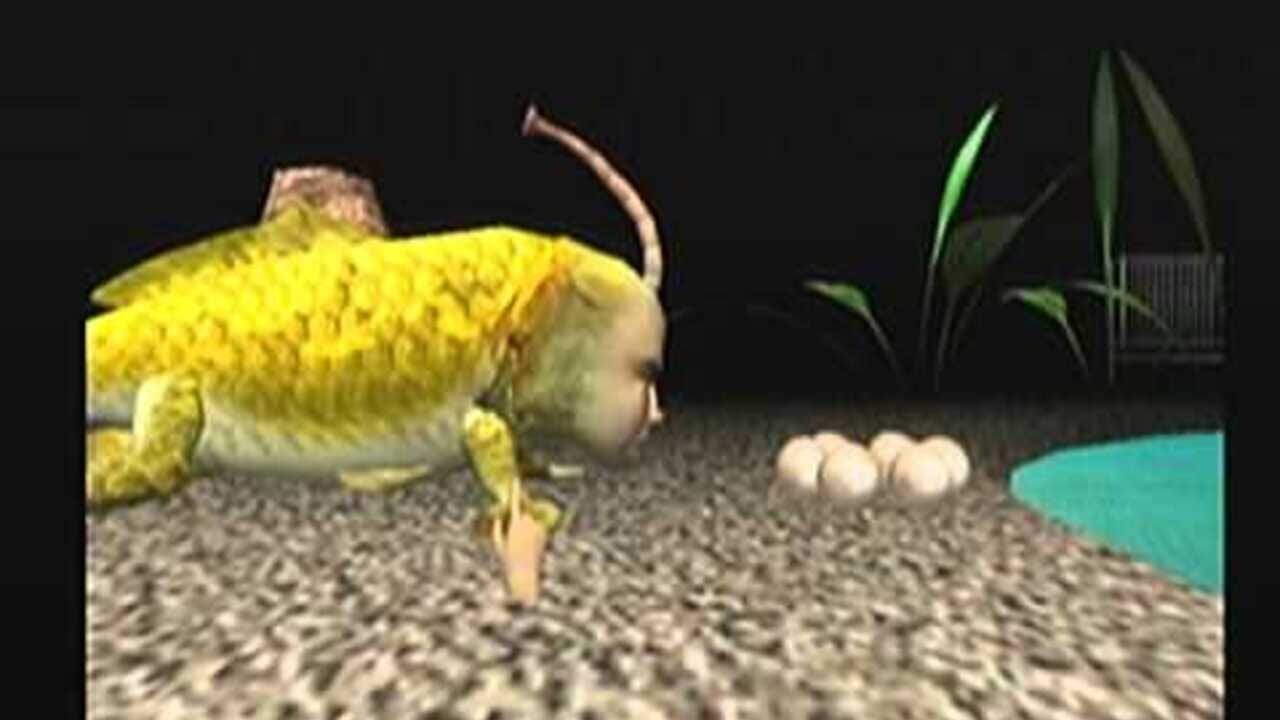 Seaman