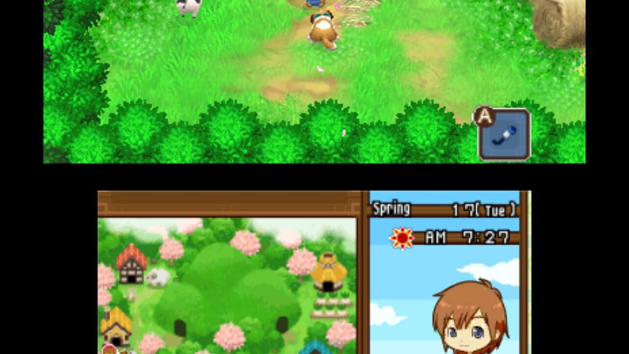 Harvest Moon: The Tale of Two Towns